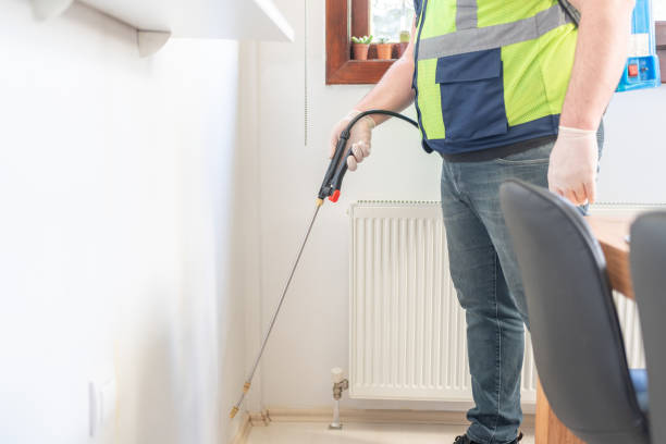 Best Exterminator Services  in Eidson Road, TX